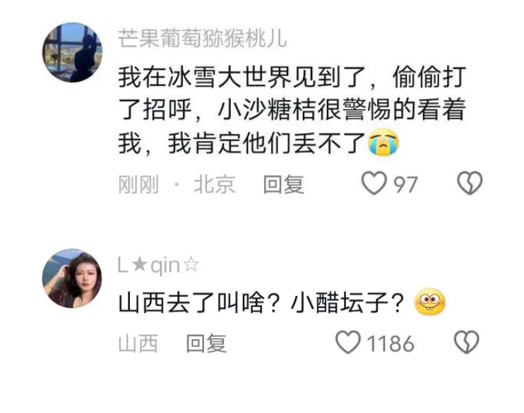 11个砂糖橘殿下游学哈尔滨，全网帮忙看孩子