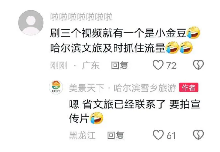 11个砂糖橘殿下游学哈尔滨，全网帮忙看孩子