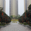 当年那个把售房部“藏”起来的礼嘉神盘如今怎么样了？_图5