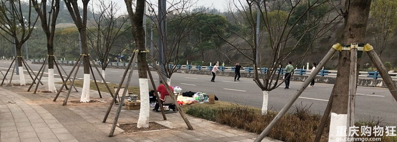 记录帖-黄桷沱长江大桥