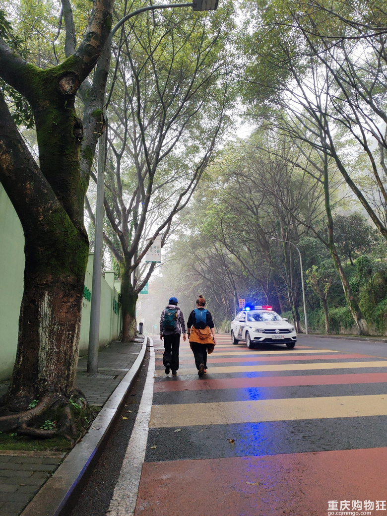 我在南山画了一只大象欢迎来重庆