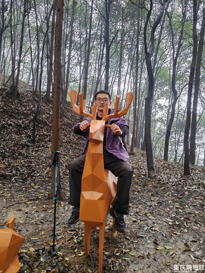 我在南山画了一只大象欢迎来重庆