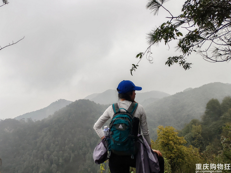 我在南山画了一只大象欢迎来重庆