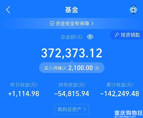 基金亏麻了，还不如拿去买包旅游……