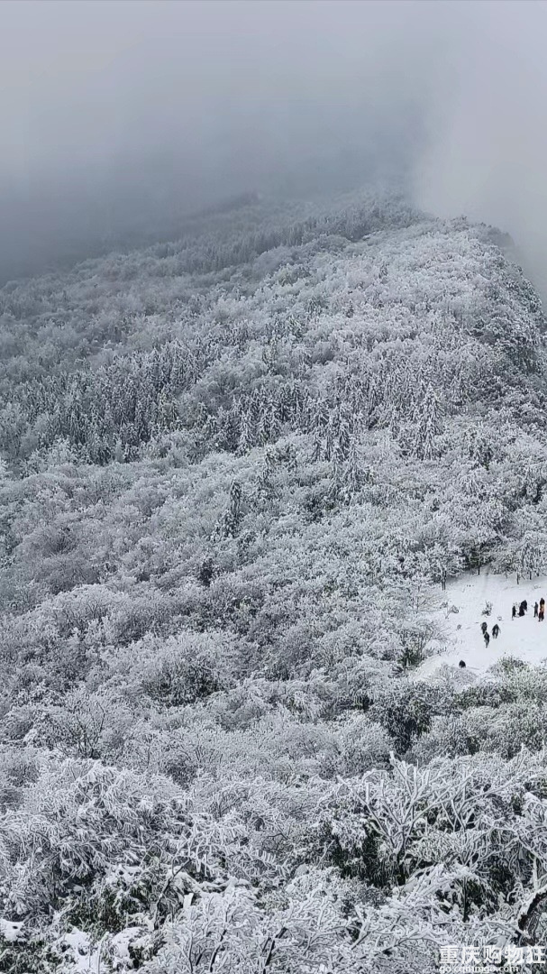 不是去不了哈尔滨，而是渝北更有性价比？