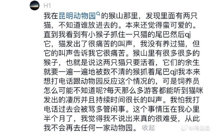 昆明动物园通报猴猫共处