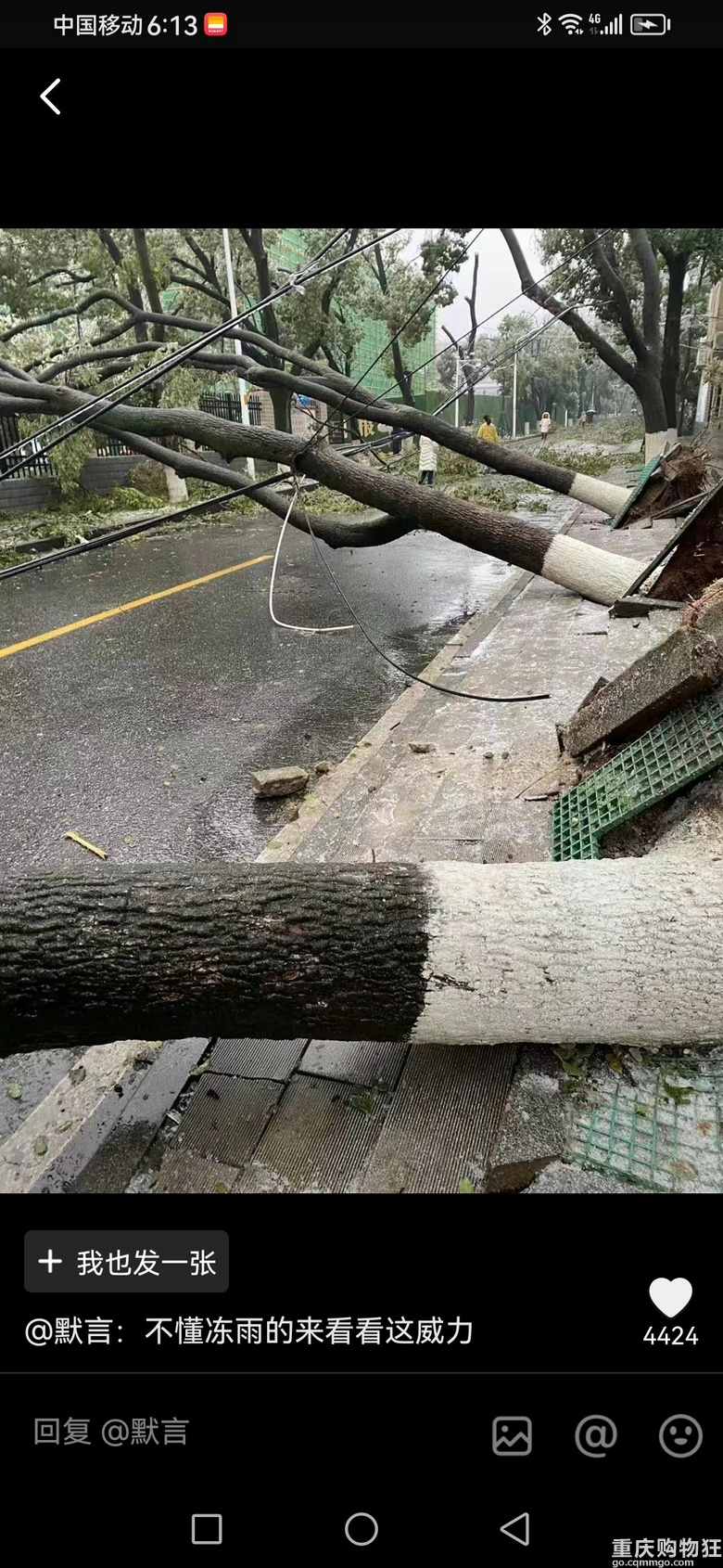 湖北安徽等地区的恐怖冻雨，重庆的宜居确实是没得说