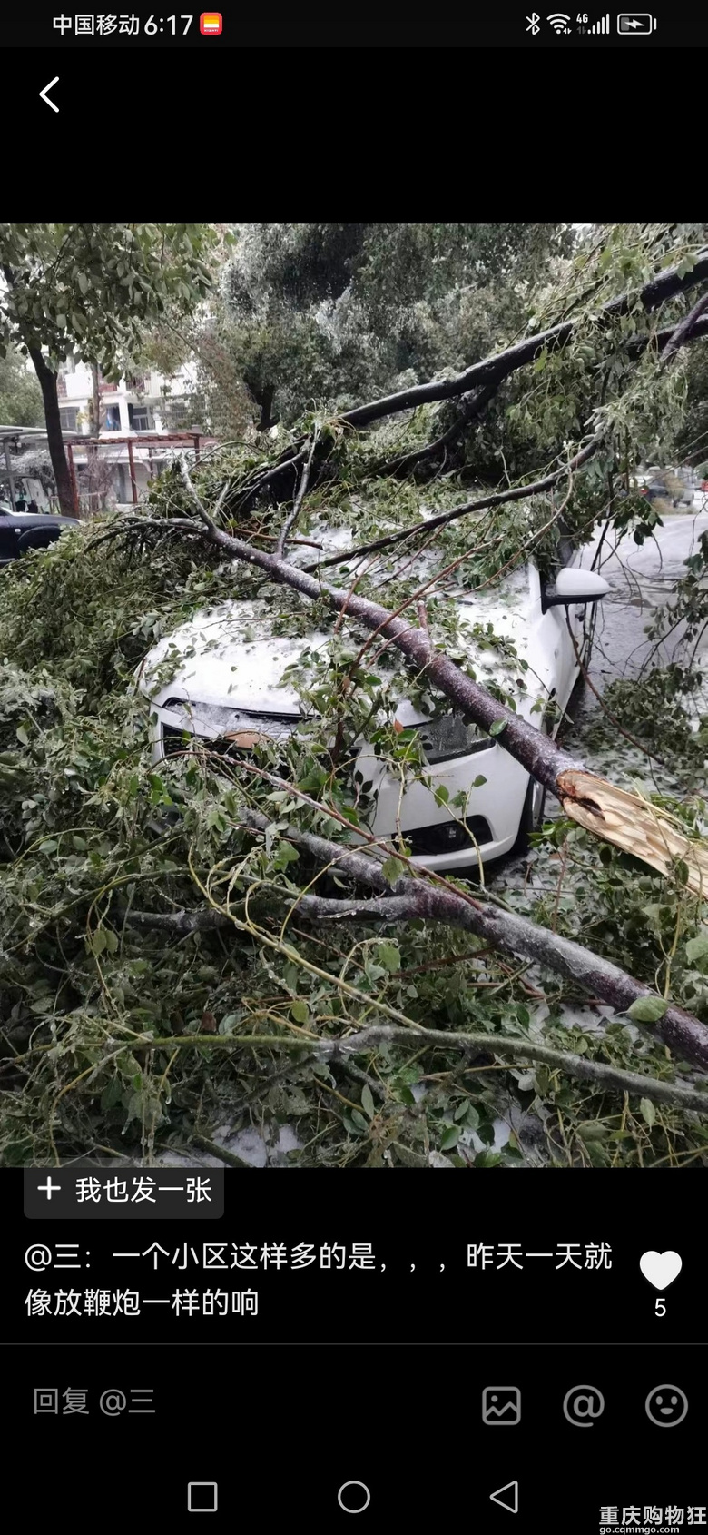 湖北安徽等地区的恐怖冻雨，重庆的宜居确实是没得说