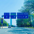 听说深圳解除限购，去喝早茶，顺便看看牙医朋友