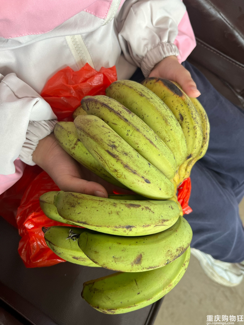 抓住寒假的尾巴，春节期间从山到海，一路南行