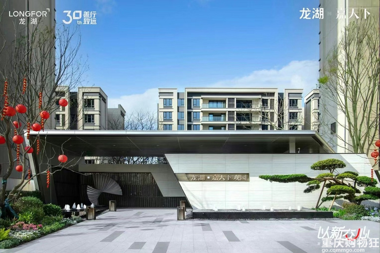龙湖嘉天下观园小高层102平