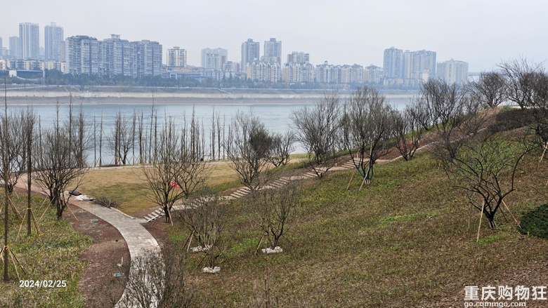 钓鱼嘴长江之歌音乐公园建设中