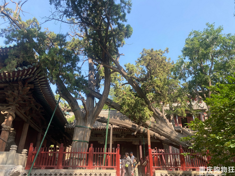 山西旅行，喜欢古建筑及历史