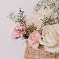 暖春三月元气女神节 | 专属福利即将开启，浪漫之约礼遇惊喜！