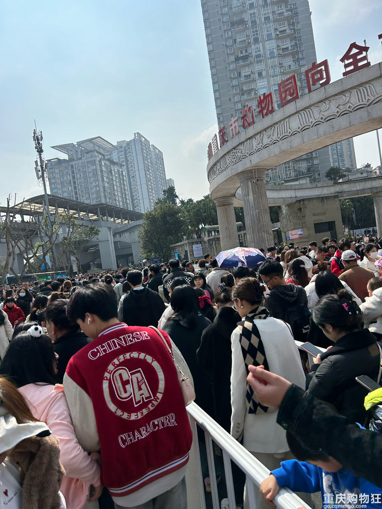 动物园人流量暴增，什么情况