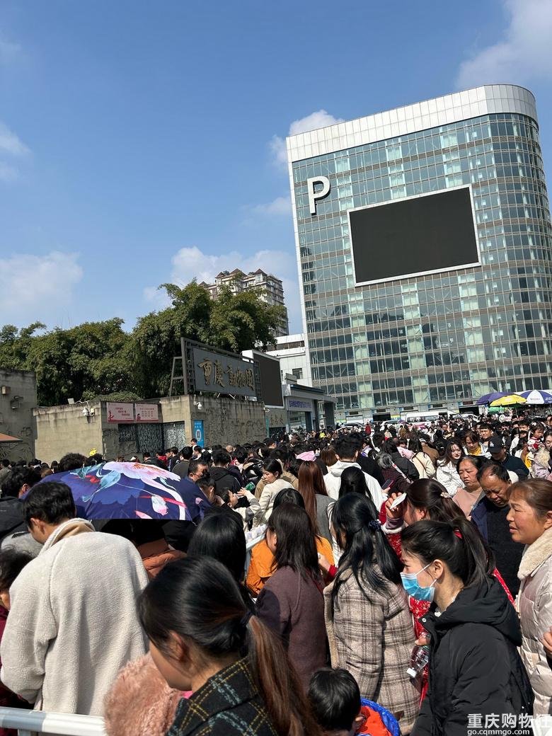 动物园人流量暴增，什么情况