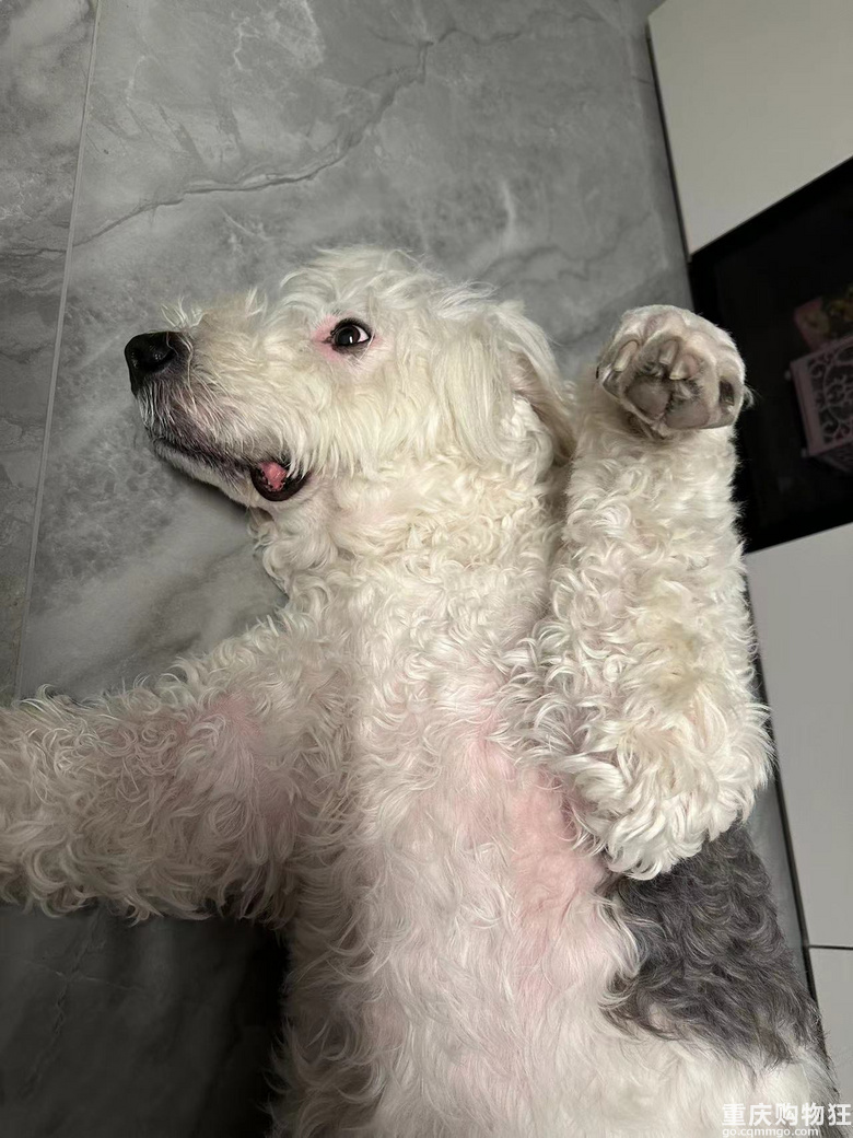 ��������ݹٷ�Ⱥ���������������һ�����B��/�B������ĵ�
