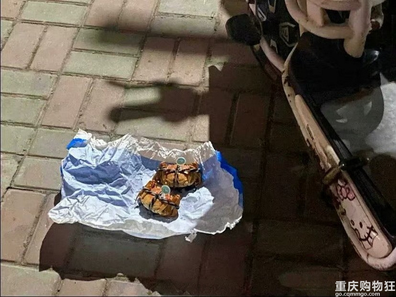 有些好心人喂流浪猫的方式别太荒谬了