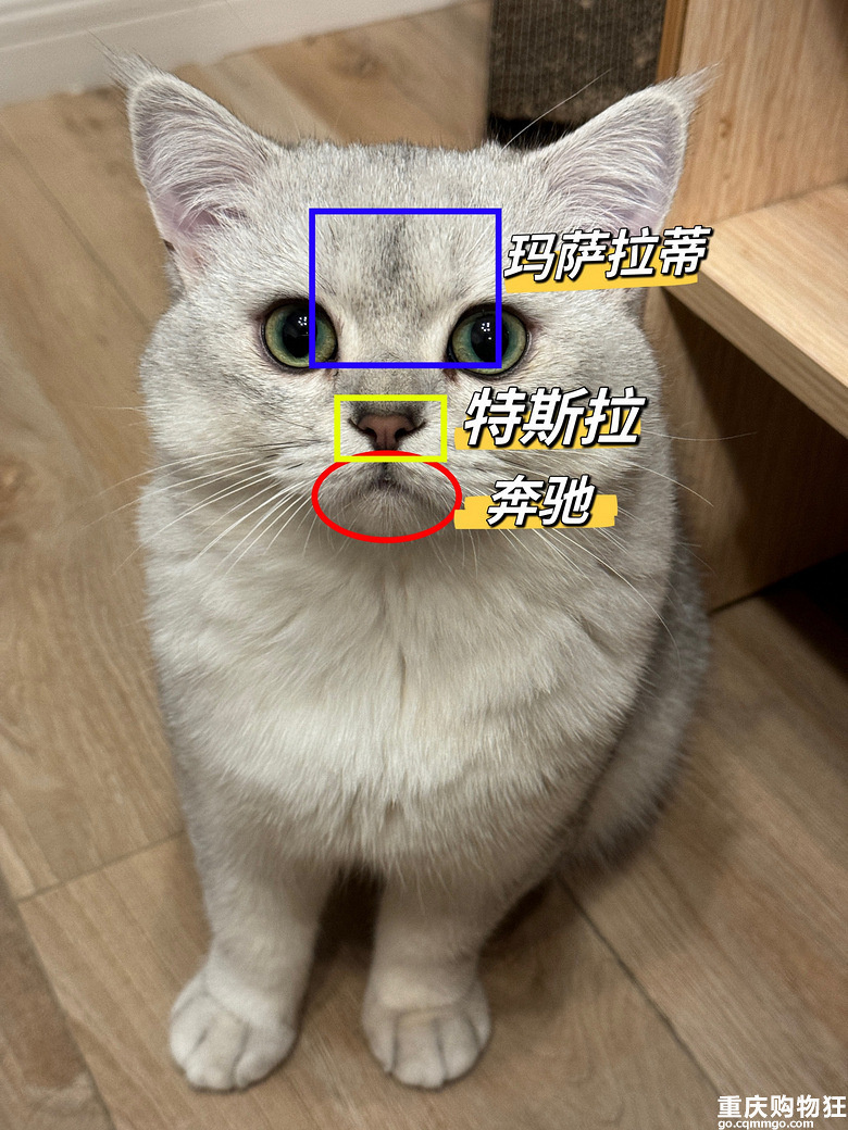 ��������ݹٷ�Ⱥ���������������һ�����B��/�B������ĵ�