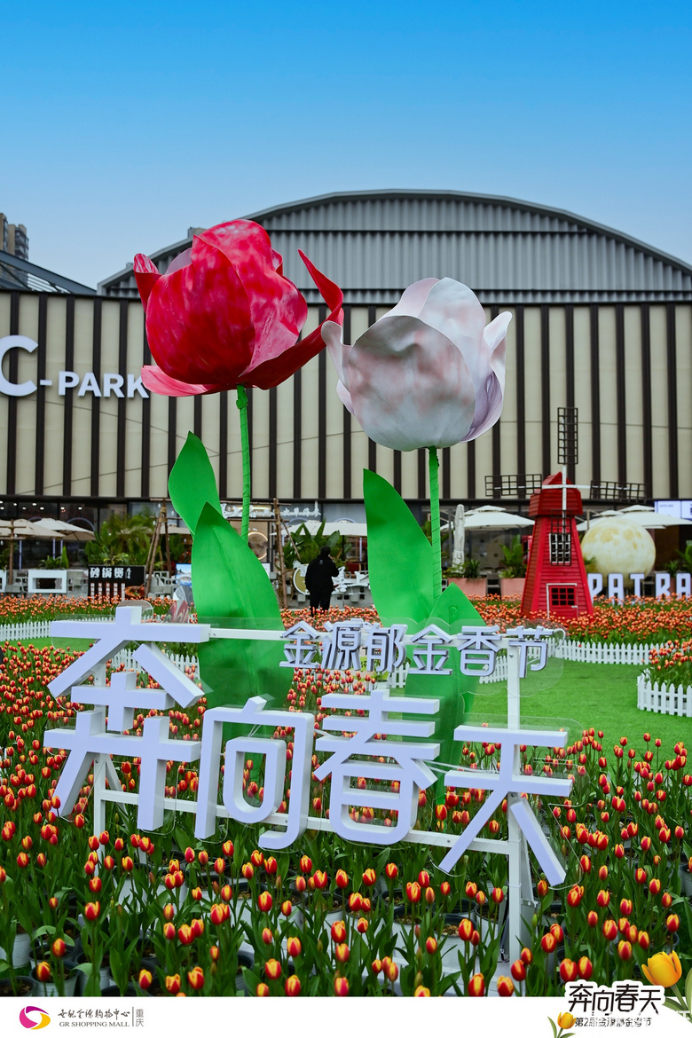 世纪金源春日写生活动圆满完成，童游郁金香花海，写生春意浓