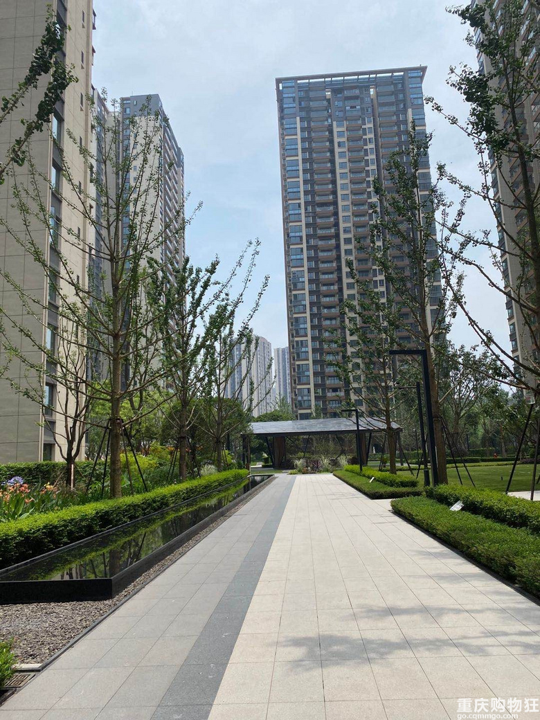 礼嘉龙湖，两江新宸森屿（含产权大露台）诚意出售