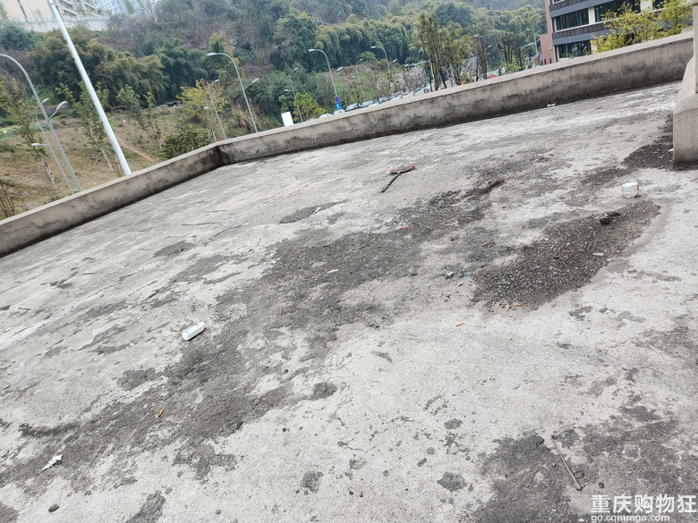 礼嘉龙湖，两江新宸森屿（含产权大露台）诚意出售