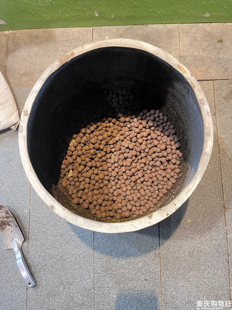 你们花盆里面 垫的陶粒还是土工布呀，听说陶粒不好？