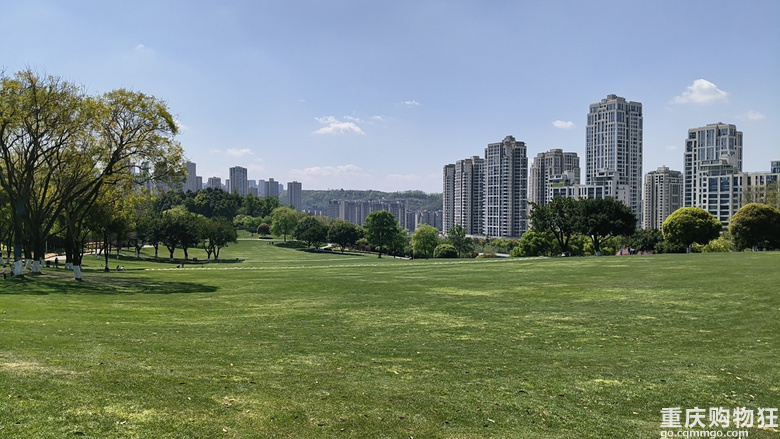 美丽的中央公园