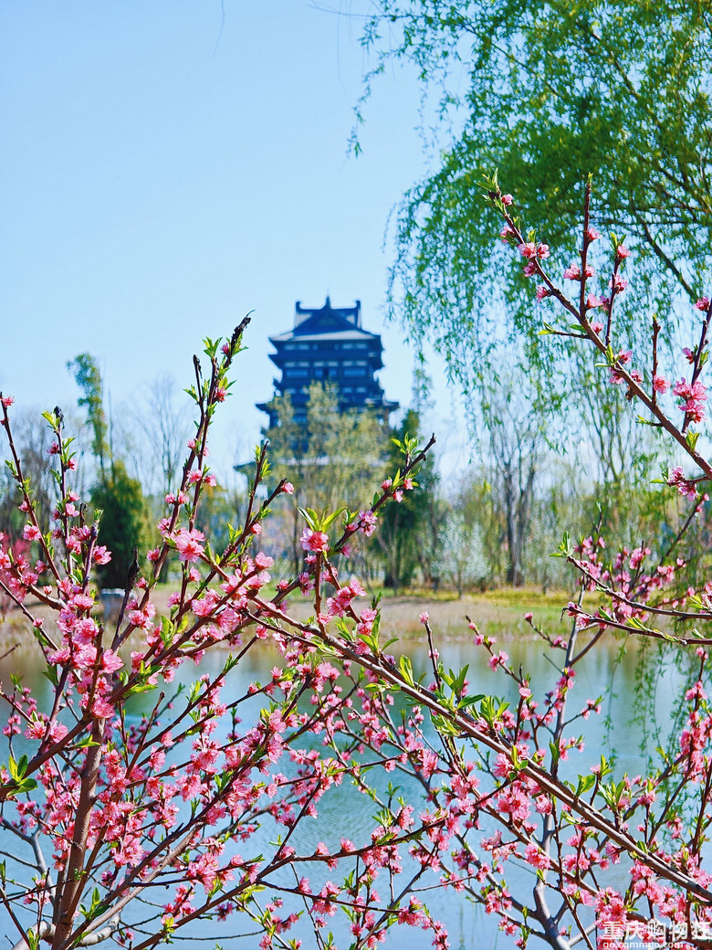 春到东安湖