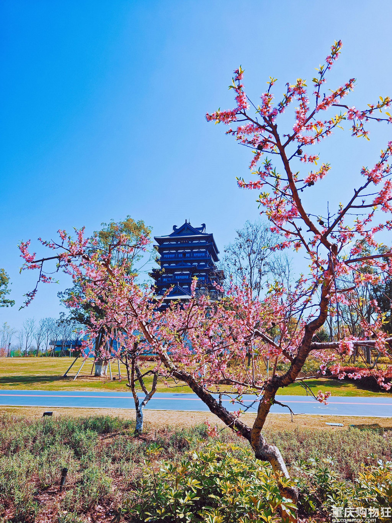 春到东安湖