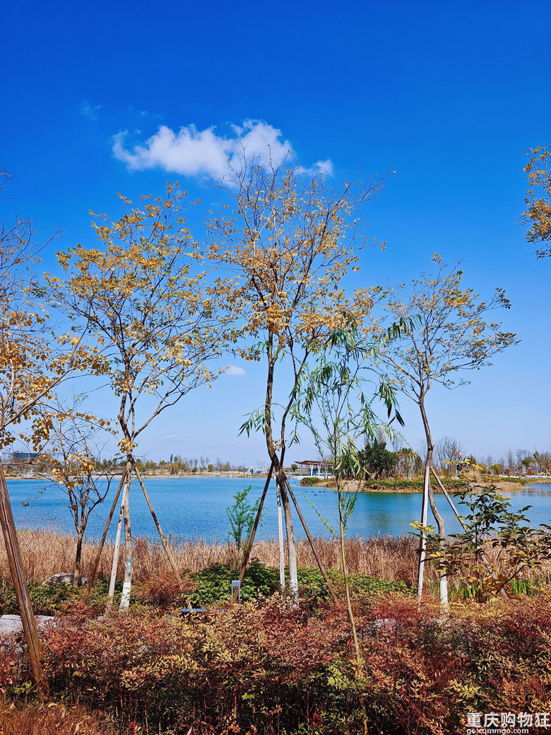 春到东安湖