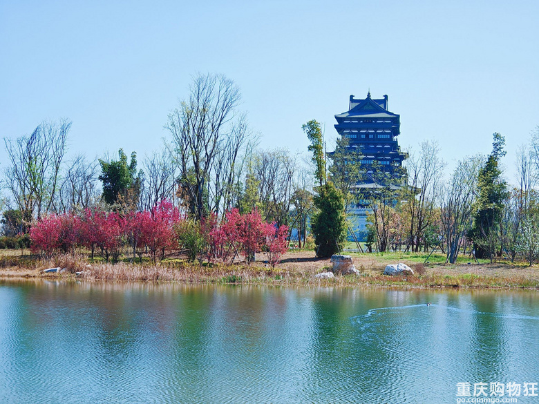 春到东安湖
