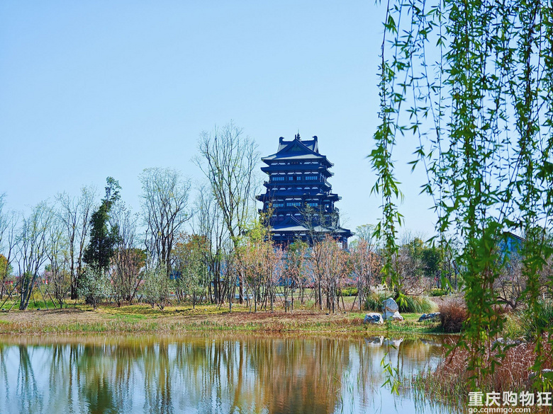 春到东安湖