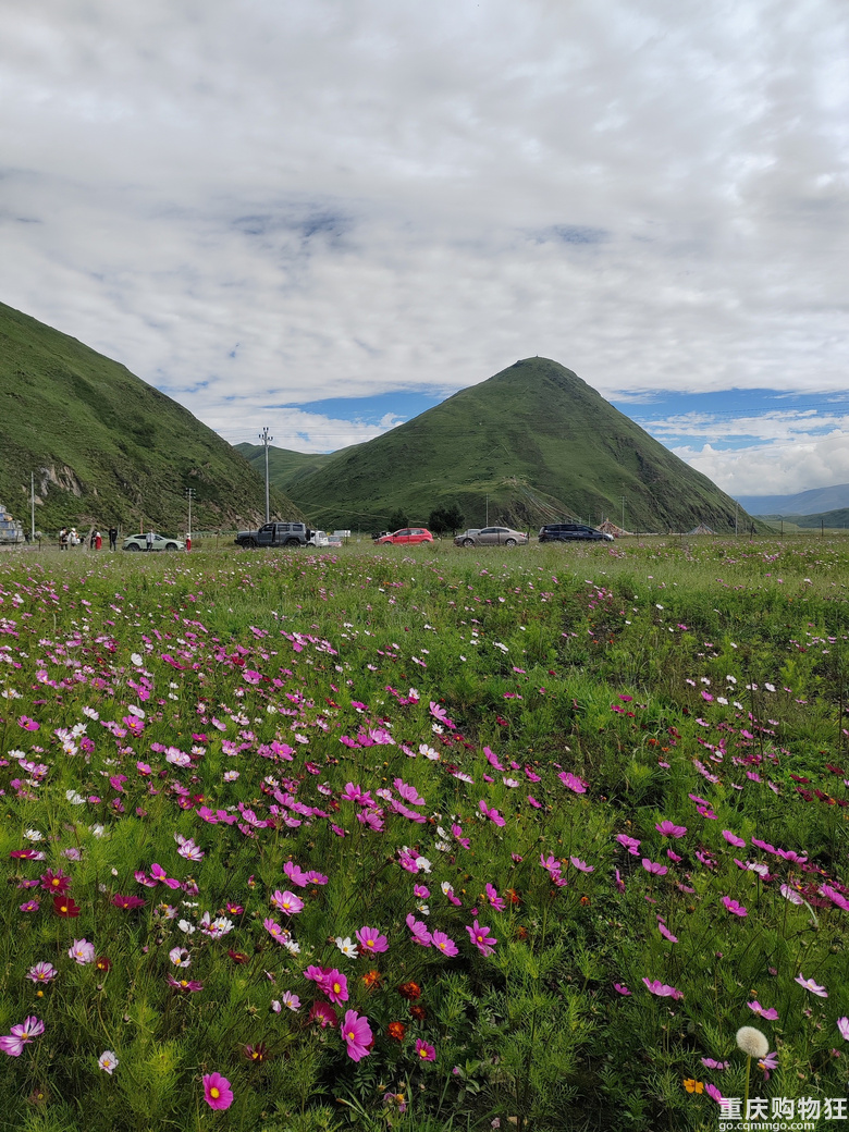 川西行