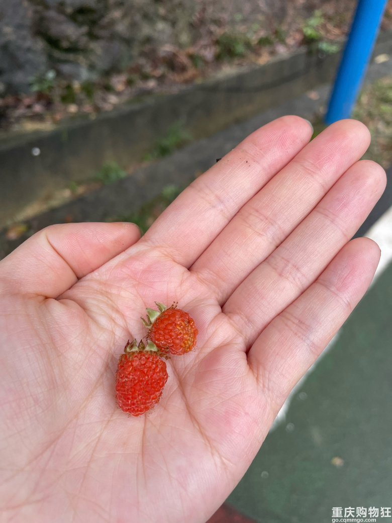清明节不知道去哪儿的可以试试这个