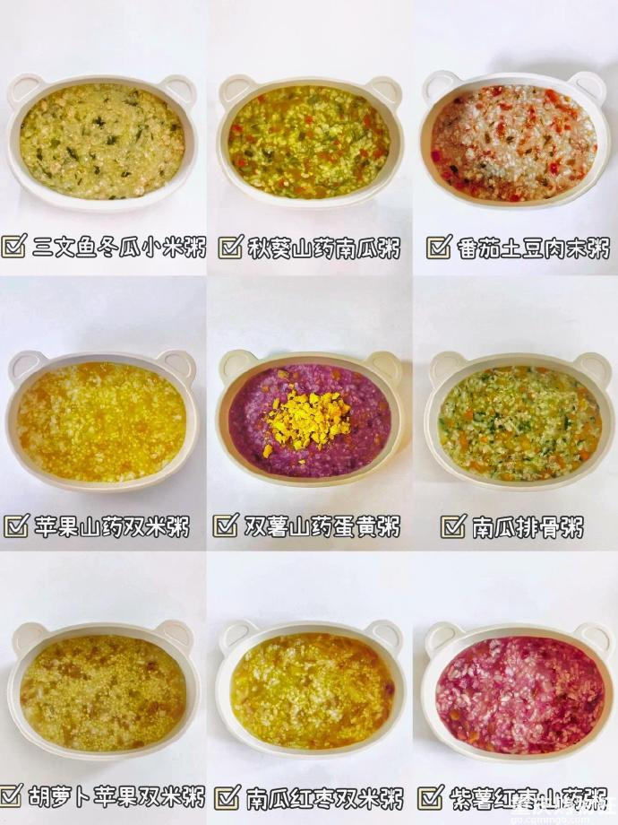 婴儿辅食分享！适合8个月以上的宝宝，辅食一锅炖，宝宝营养粥