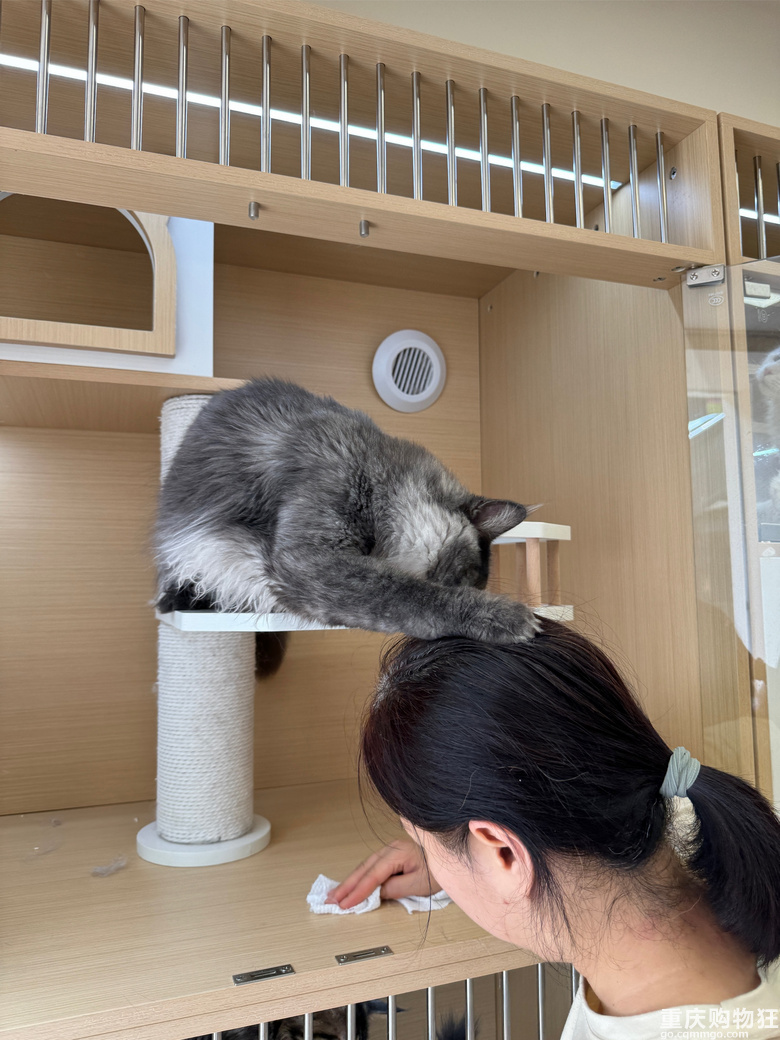 �����Խ�_Խ�࣬���ٍ�X�᣿�S�C���Mһ�Ҍ���꣬�ھ�����