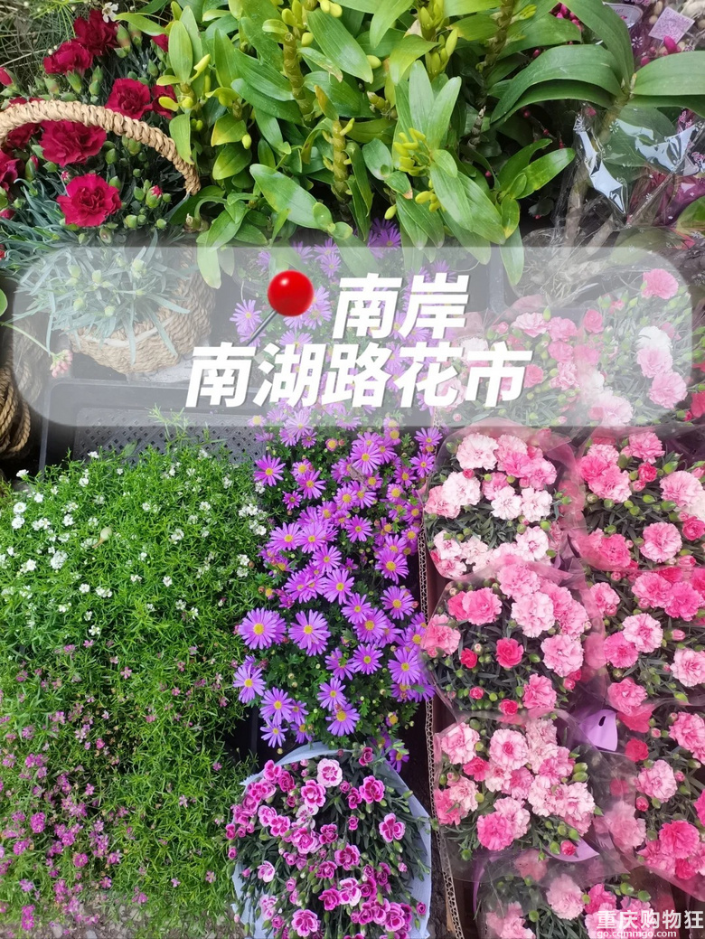 �P�c�R���ؑc14�ҡ����B�~�x�Ј�������ȥ���^��Щ���gӭ�a�� ��