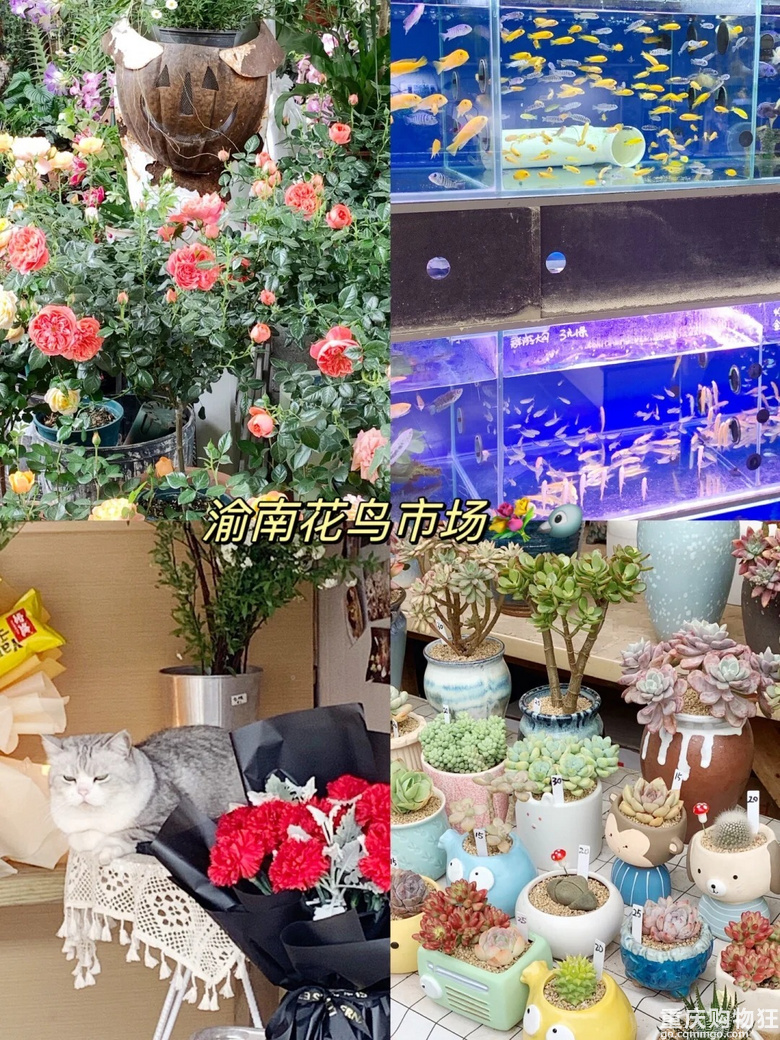 �P�c�R���ؑc14�ҡ����B�~�x�Ј�������ȥ���^��Щ���gӭ�a�� ��