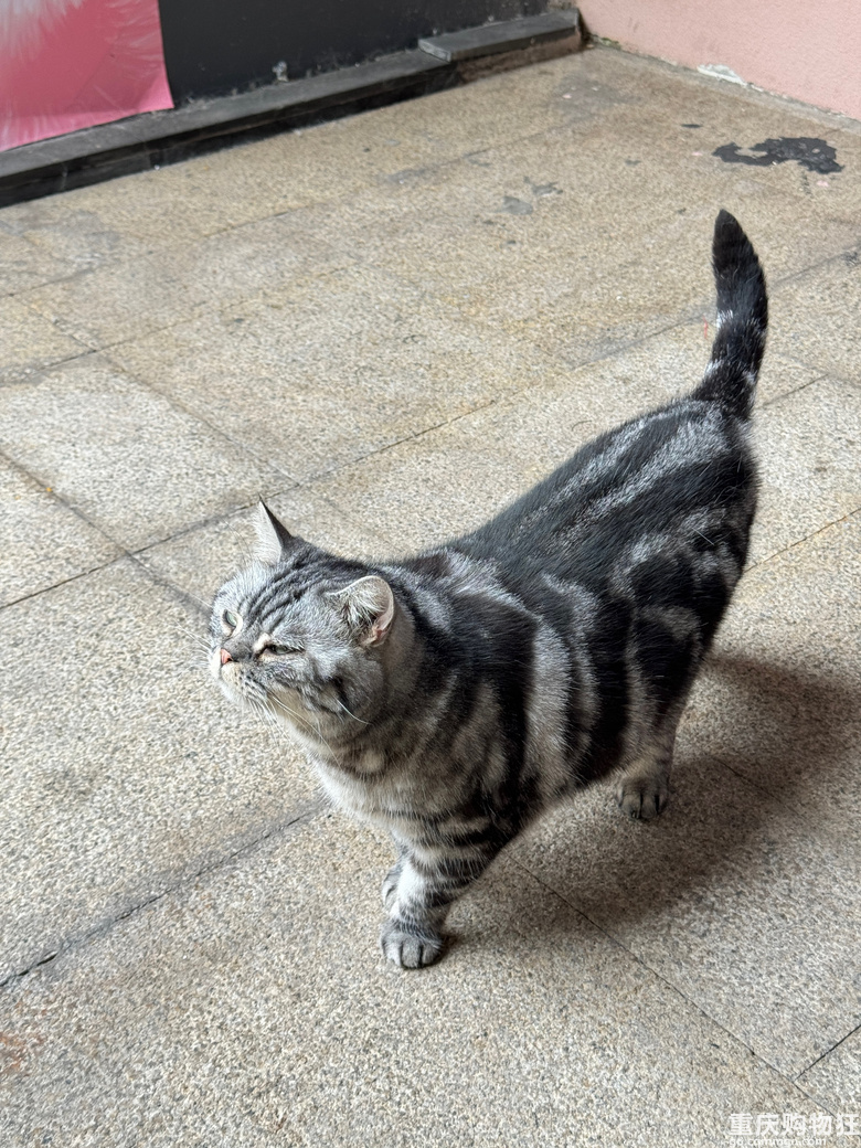 �����Խ�_Խ�࣬���ٍ�X�᣿�S�C���Mһ�Ҍ���꣬�ھ�����