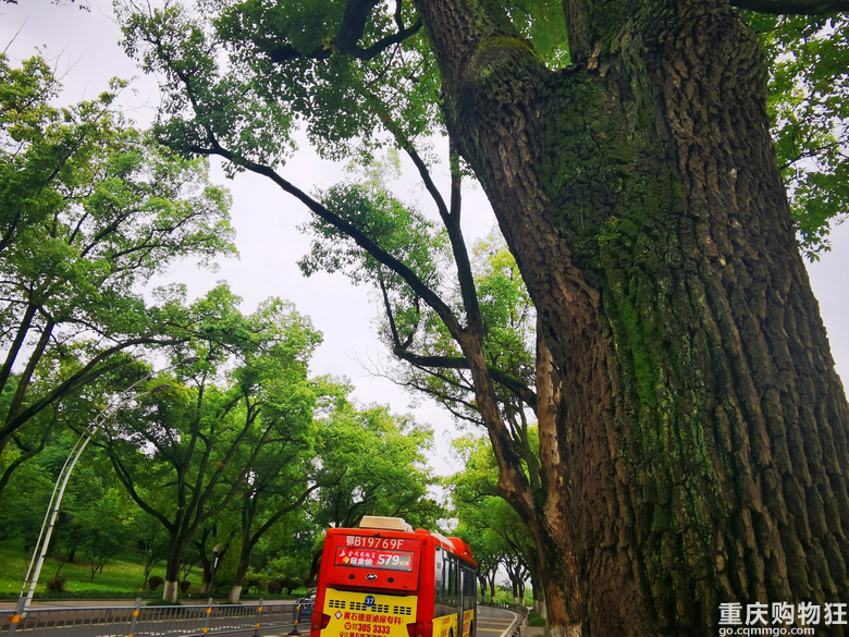 湖北黄石半日游