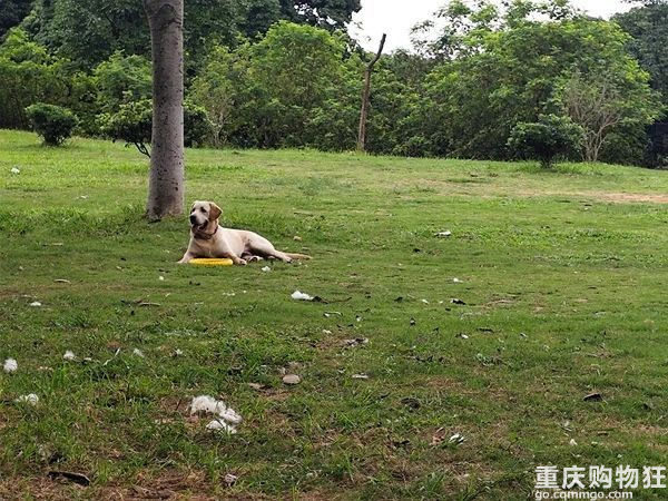 下班后，你会做些什么快乐的事？分享去“班味”的最好方式