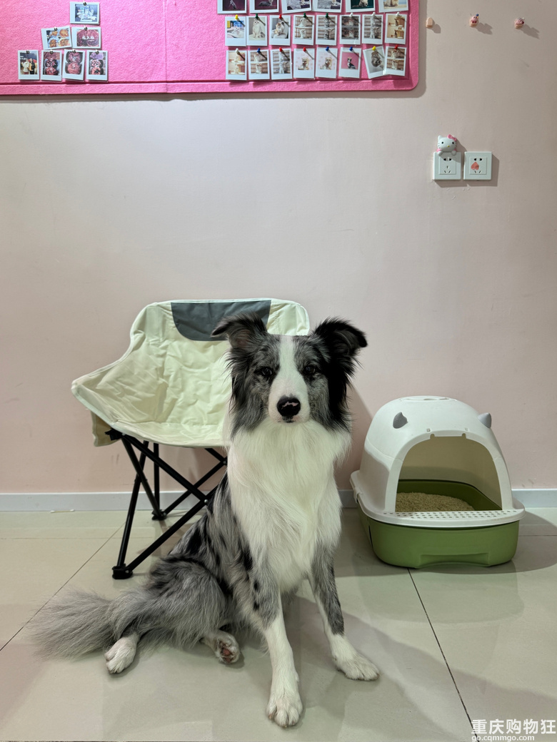 �����Խ�_Խ�࣬���ٍ�X�᣿�S�C���Mһ�Ҍ���꣬�ھ�����