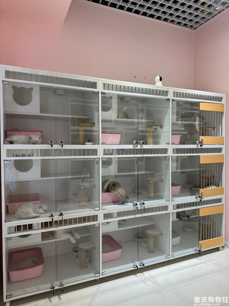 �����Խ�_Խ�࣬���ٍ�X�᣿�S�C���Mһ�Ҍ���꣬�ھ�����
