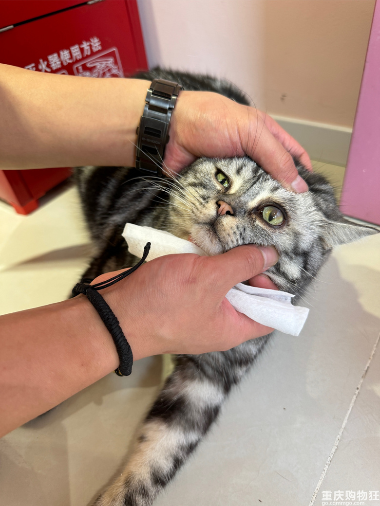 �����Խ�_Խ�࣬���ٍ�X�᣿�S�C���Mһ�Ҍ���꣬�ھ�����