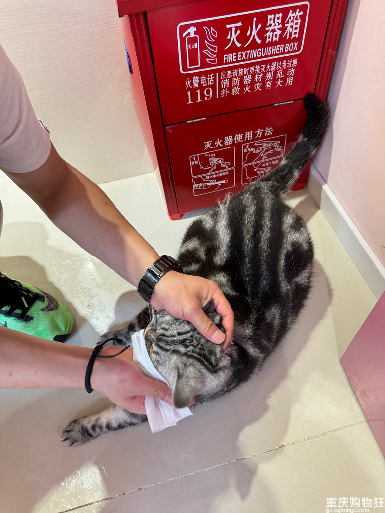 �����Խ�_Խ�࣬���ٍ�X�᣿�S�C���Mһ�Ҍ���꣬�ھ�����