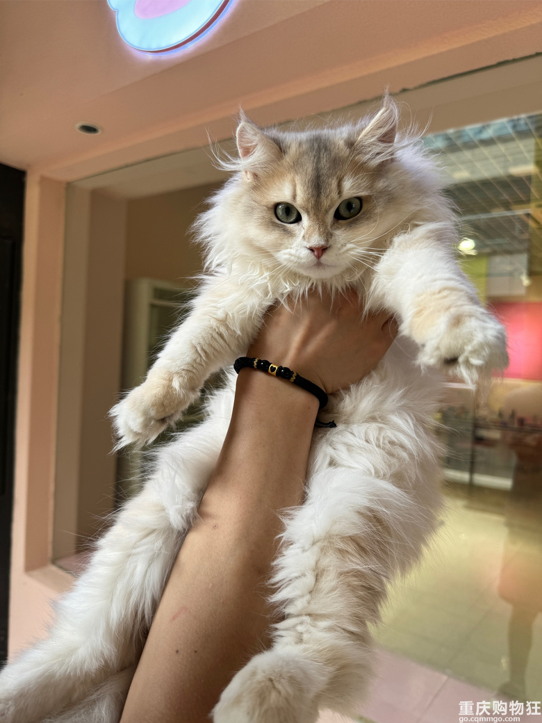 �����Խ�_Խ�࣬���ٍ�X�᣿�S�C���Mһ�Ҍ���꣬�ھ�����