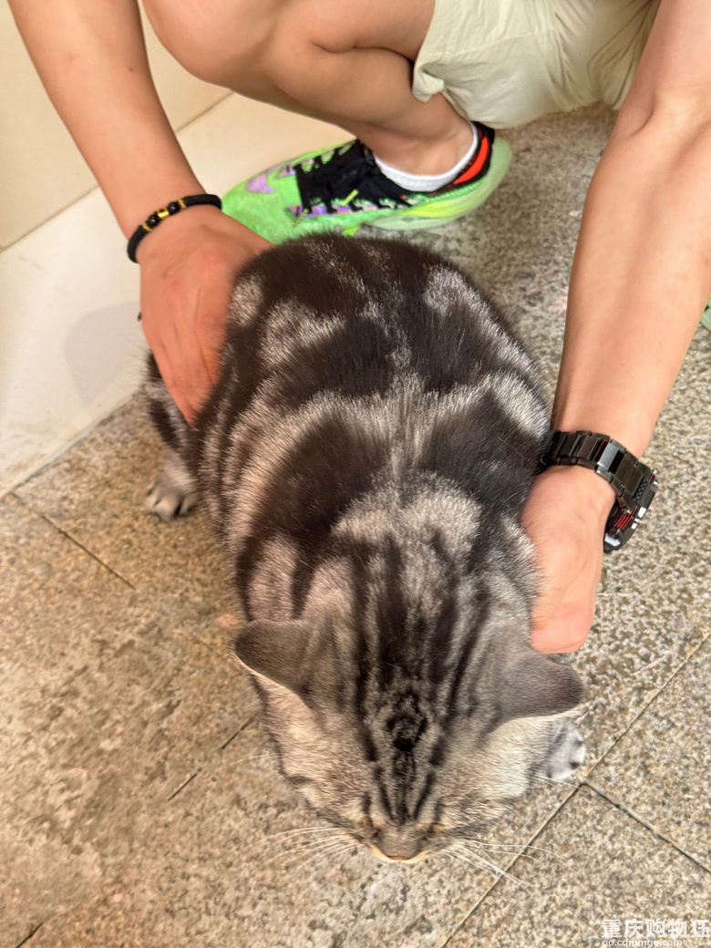 �����Խ�_Խ�࣬���ٍ�X�᣿�S�C���Mһ�Ҍ���꣬�ھ�����