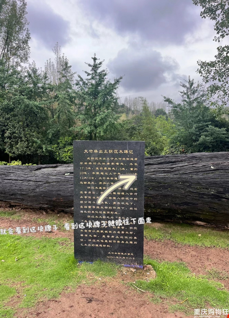 每周徒步/原路取车照母山环线攻略