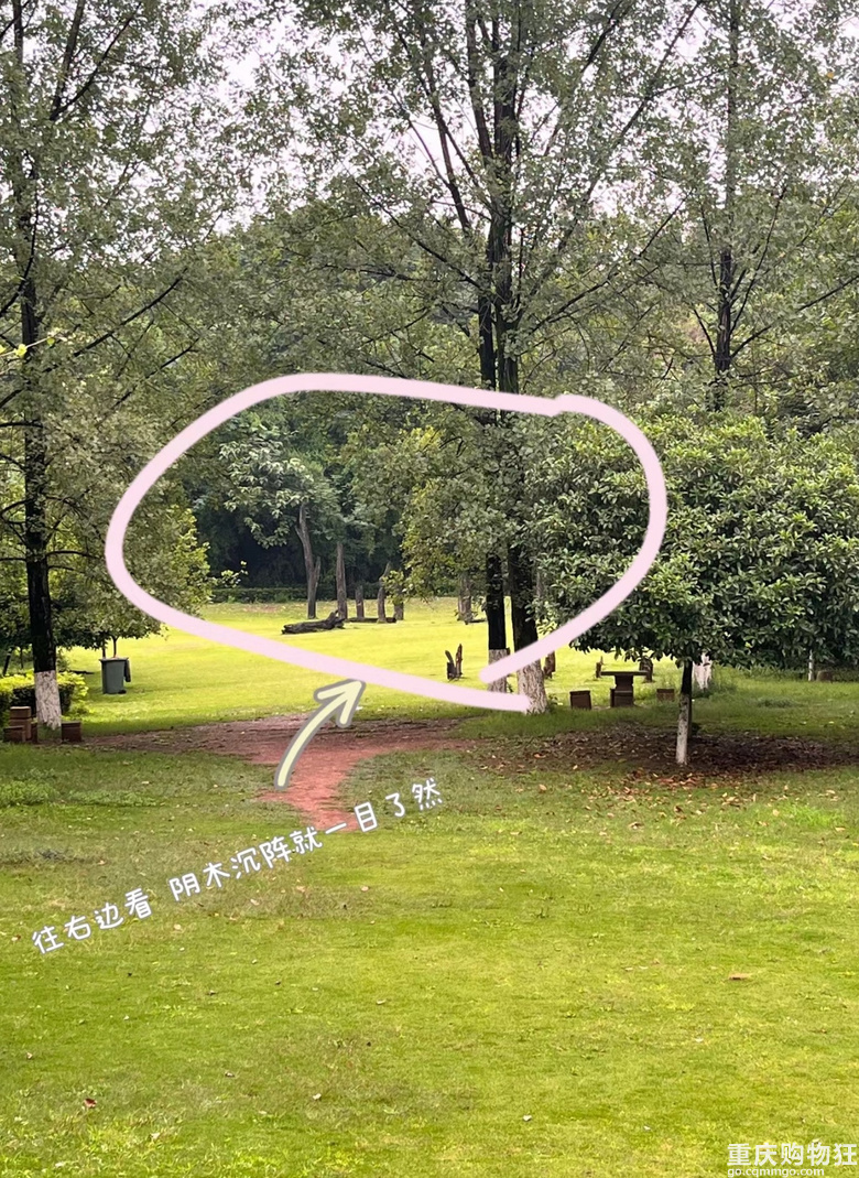 每周徒步/原路取车照母山环线攻略